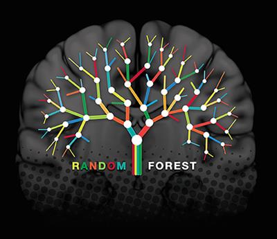 Random Forest Algorithm for the Classification of Neuroimaging Data in Alzheimer's Disease: A Systematic Review